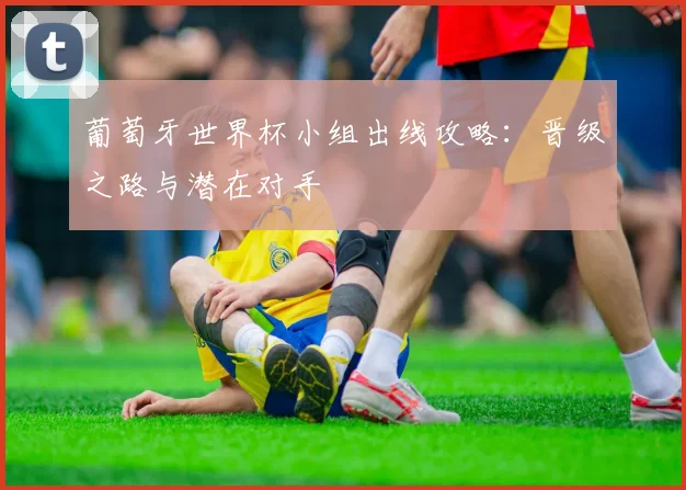 葡萄牙世界杯小组出线攻略:晋级之路与潜在对手